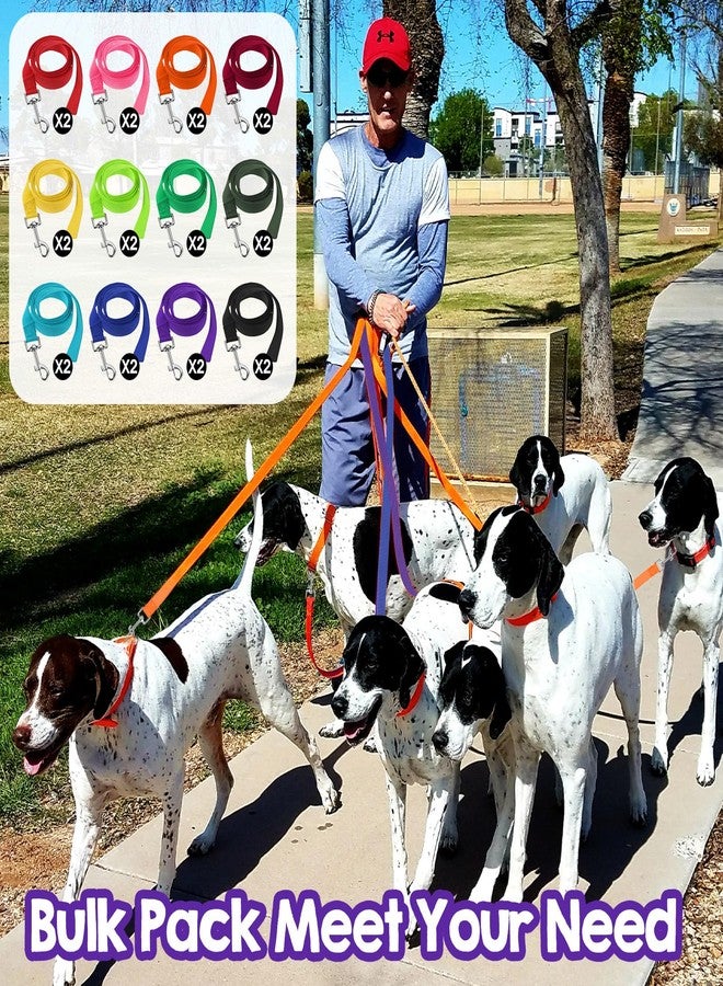 Dimeho 24 Pack Dog Training Leashes Nylon Dog Leashes for Small Medium Large Dogs Bulk Puppy Traction Rope with Swivel Hook for Walking Play Camping Backyard Hiking Shelter Outdoor - Image 5